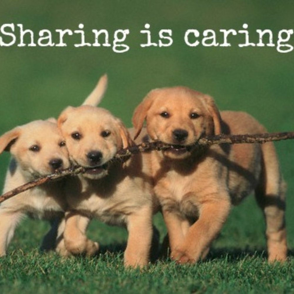 SHARING IS CARING~ - Picture 1 of 1